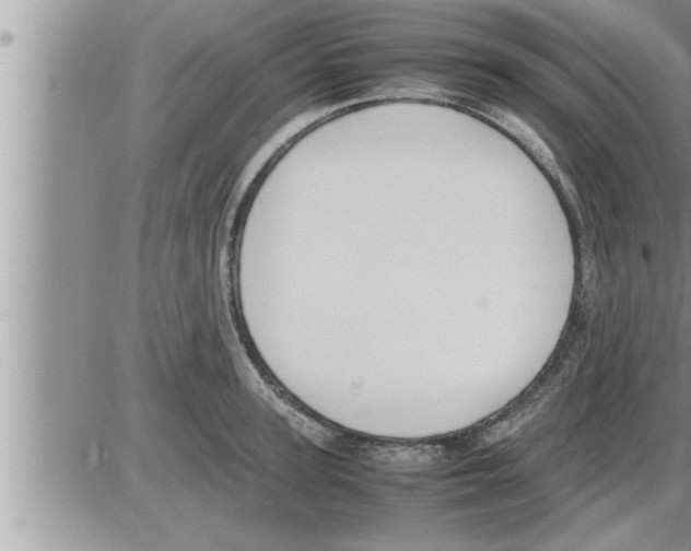 X0000086330947200704271939