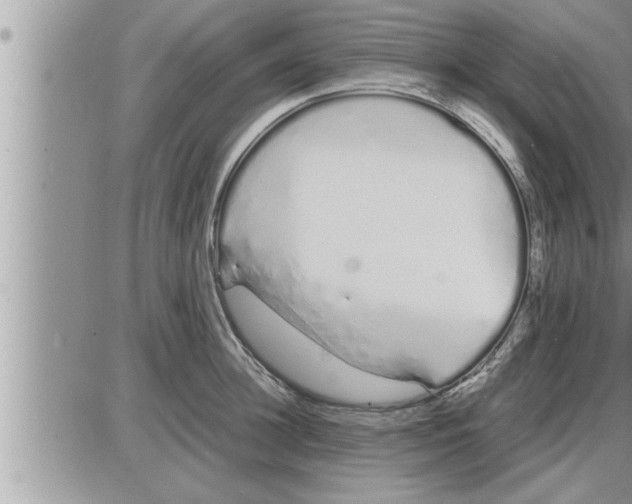 X0000086330948200704271939