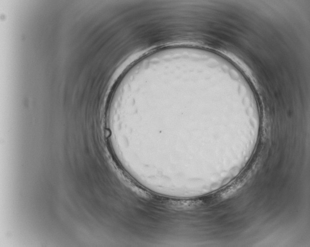 X0000086330949200704271939