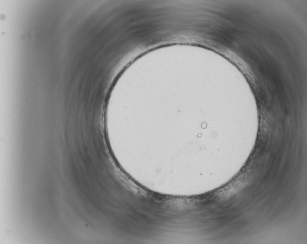 X0000086330950200704271939