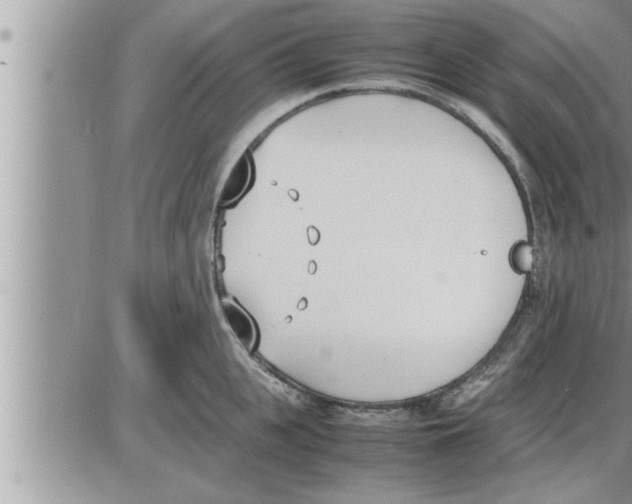 X0000086330951200704271939