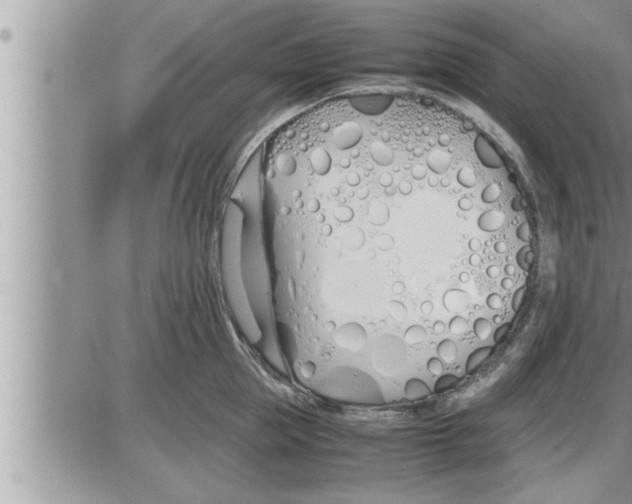 X0000086330953200704271939