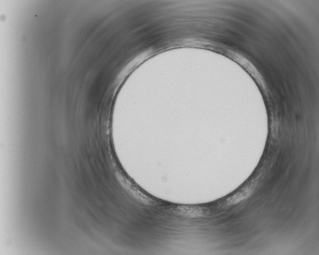 X0000086330954200704271939