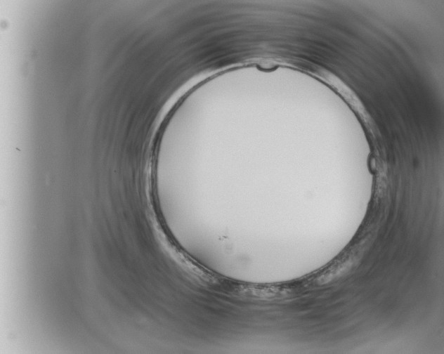 X0000086330955200704271939