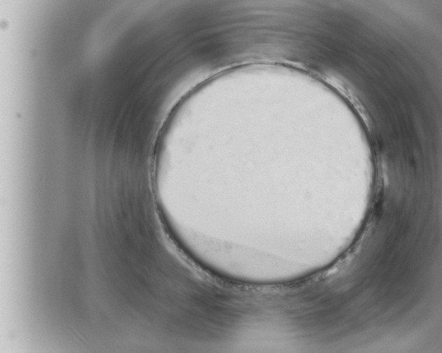 X0000086330958200704271939