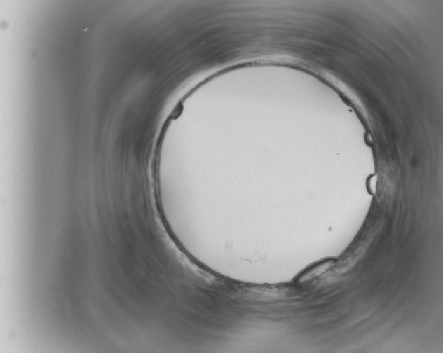 X0000086330959200704271939