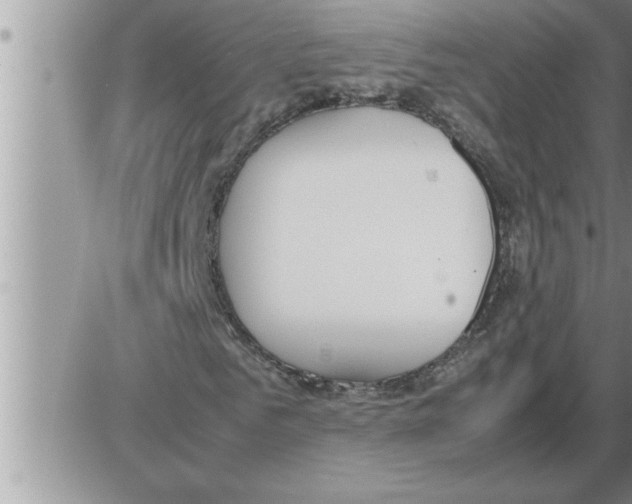 X0000086330961200704271938