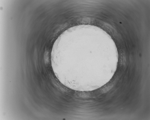 X0000086330962200704271938