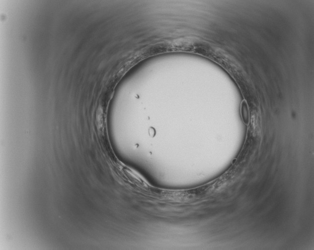 X0000086330963200704271938