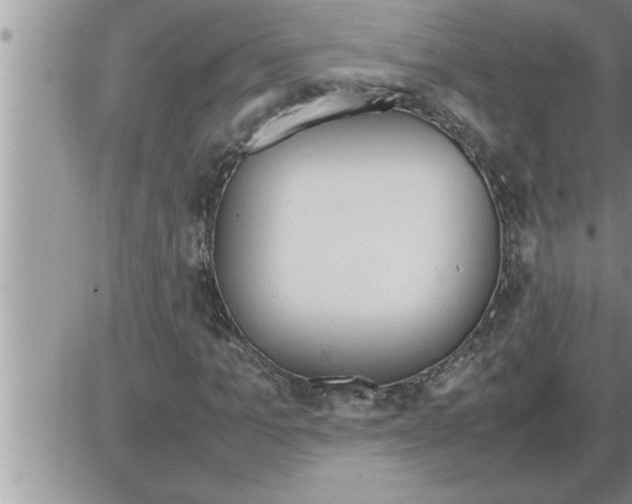 X0000086330965200704271938