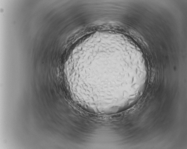 X0000086330966200704271938