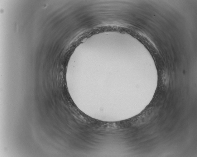 X0000086330968200704271938