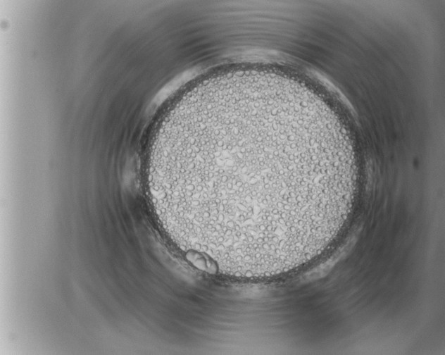 X0000086330970200704271938