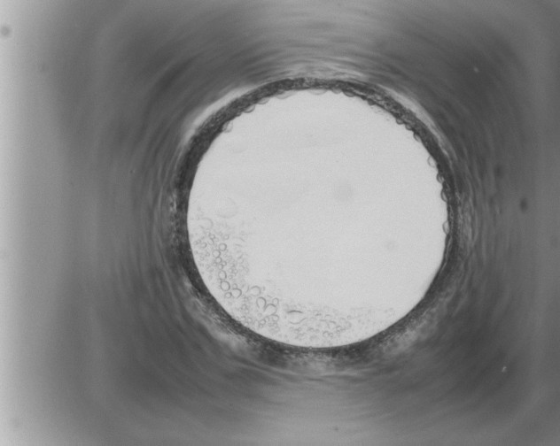 X0000086330971200704271938