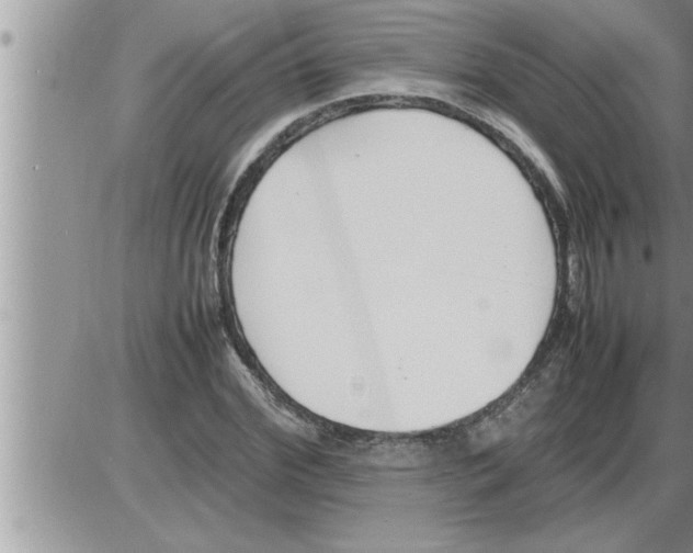 X0000086330972200704271938