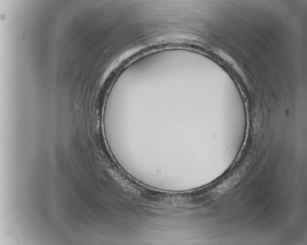 X0000086330973200704271938