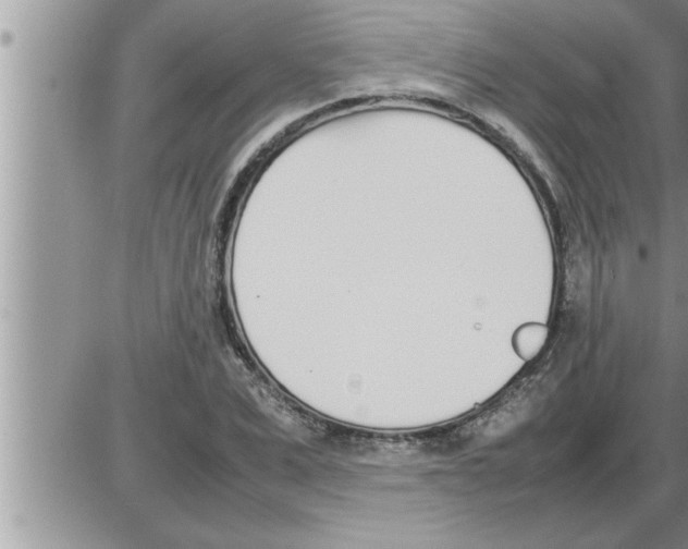 X0000086330975200704271938