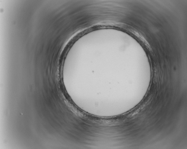 X0000086330976200704271938