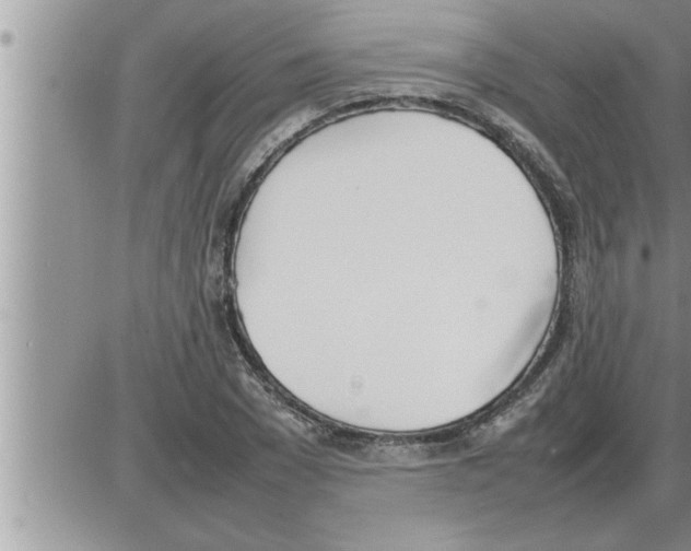 X0000086330977200704271938