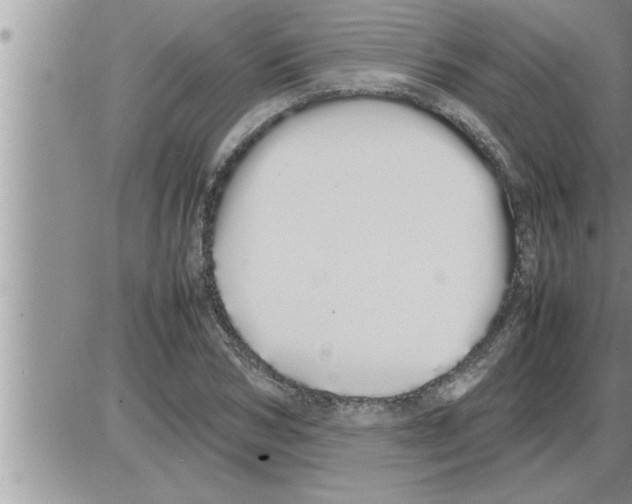 X0000086330978200704271938