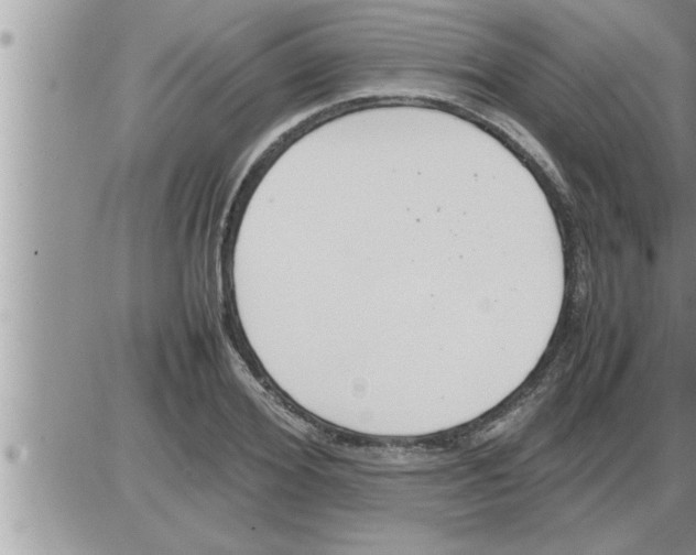 X0000086330980200704271938