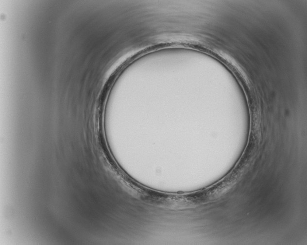 X0000086330983200704271938