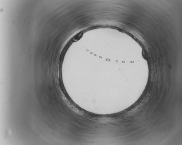 X0000086330984200704271938