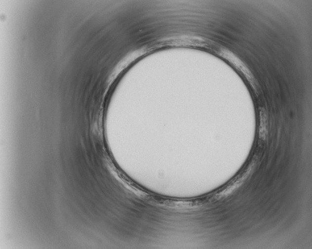 X0000086330986200704271938