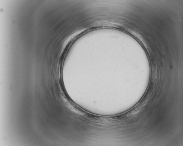 X0000086330987200704271938