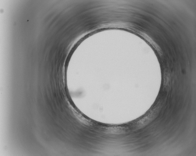 X0000086330988200704271938