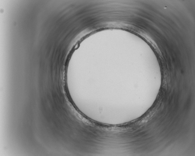 X0000086330992200704271938