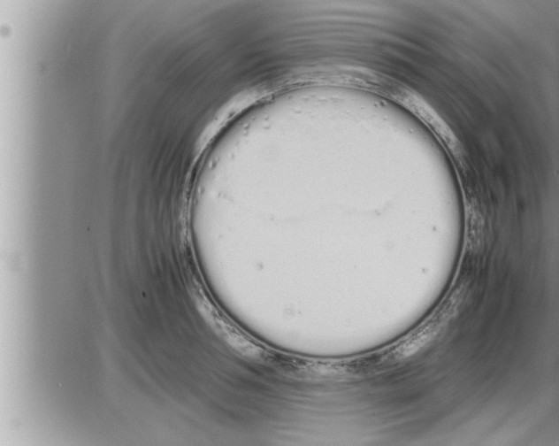 X0000086330994200704271938