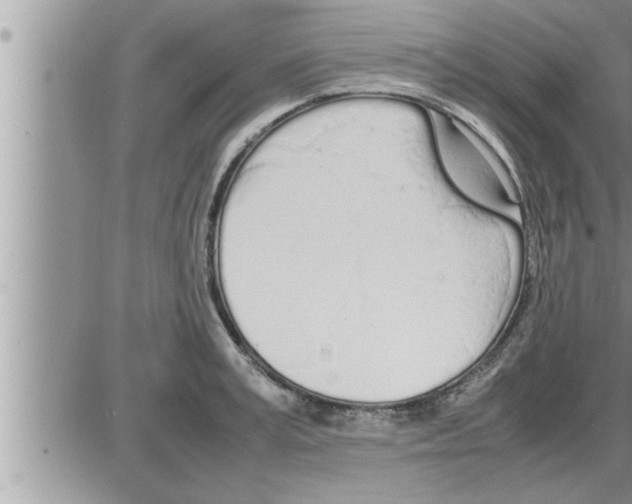 X0000086330995200704271938