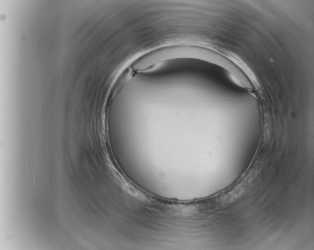 X0000086330996200704271938