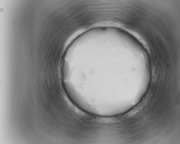 X0000086330998200704271937