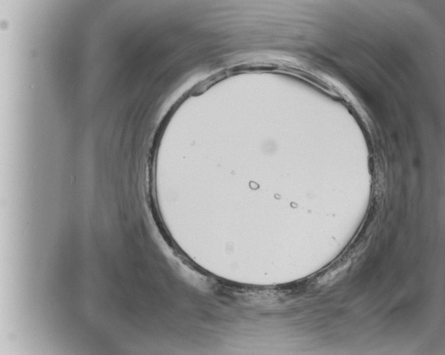 X0000086330999200704271937