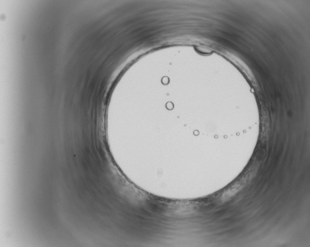 X0000086331000200704271937