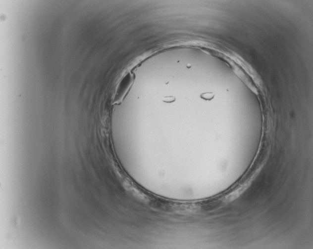 X0000086331001200704271937