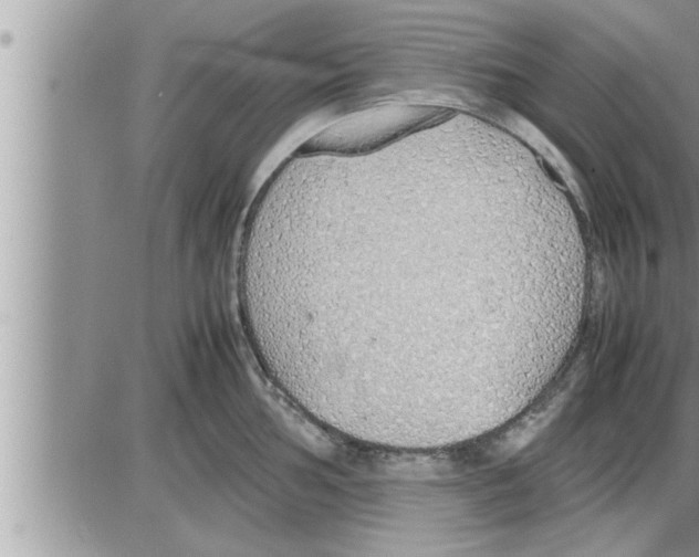 X0000086331002200704271937