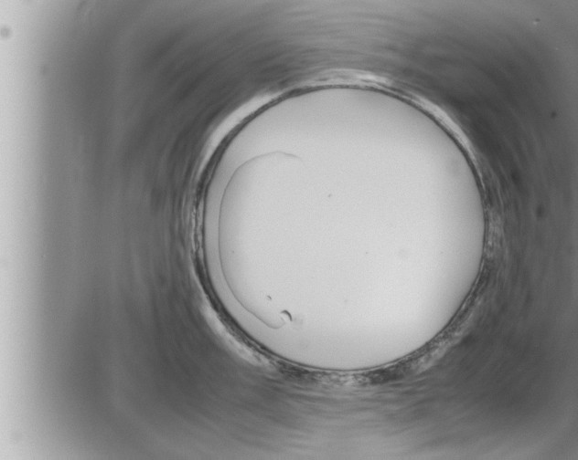 X0000086331003200704271937