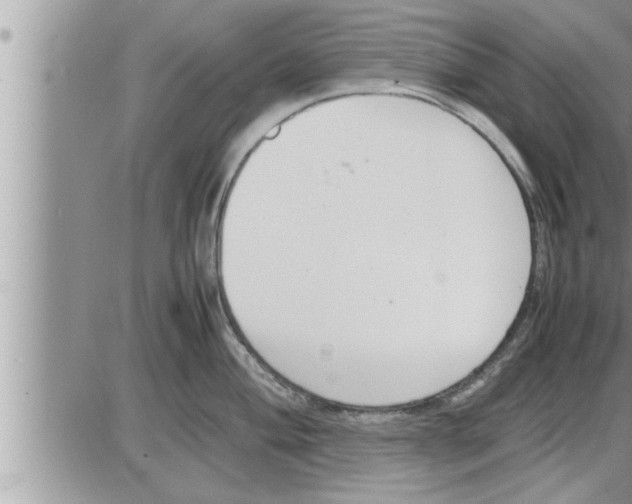 X0000086331004200704271937