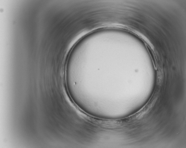 X0000086331007200704271937