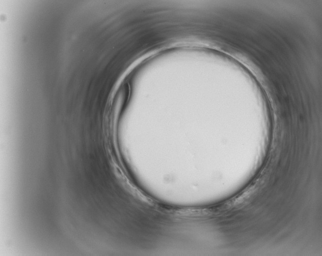 X0000086331008200704271937