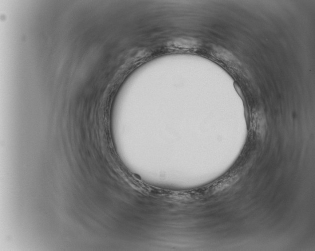 X0000086331009200704271937