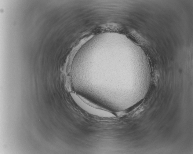 X0000086331010200704271937