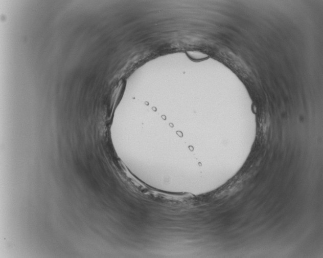 X0000086331012200704271937