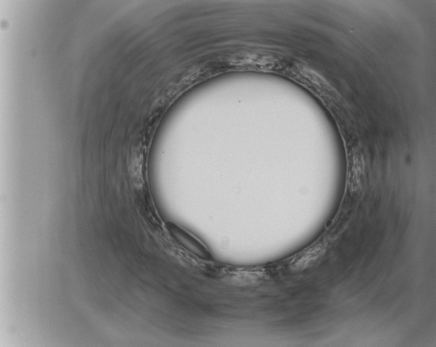 X0000086331013200704271937