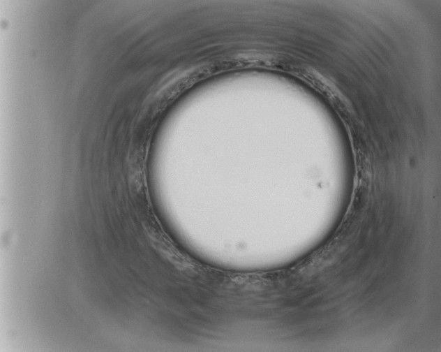 X0000086331015200704271937