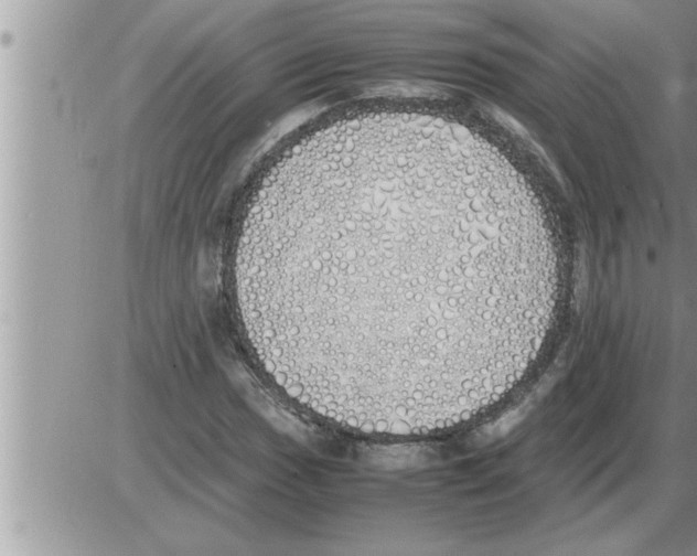 X0000086331017200704271937