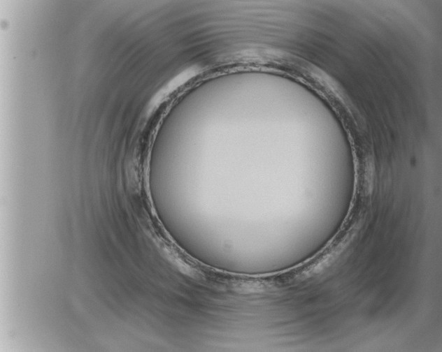 X0000086331018200704271937